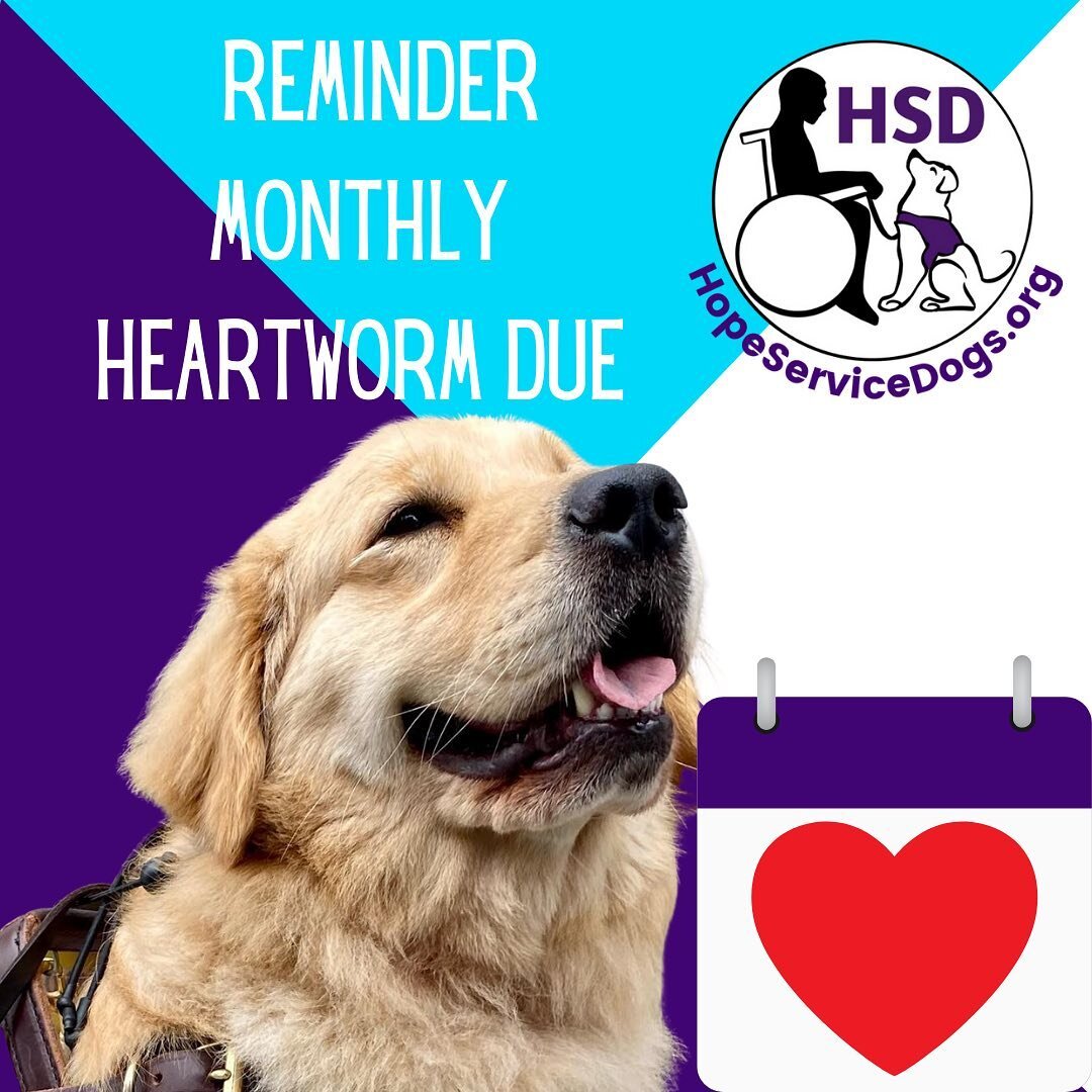 Reminder: first of the month, heartworm time!