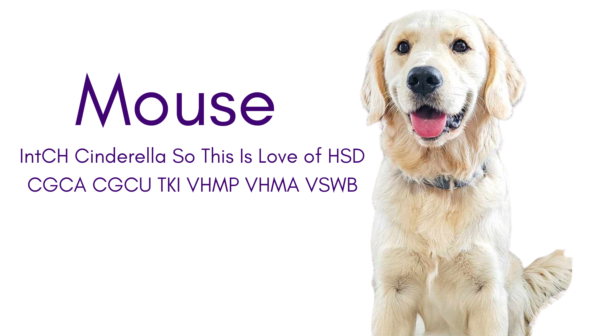 Mouse has earned many titles