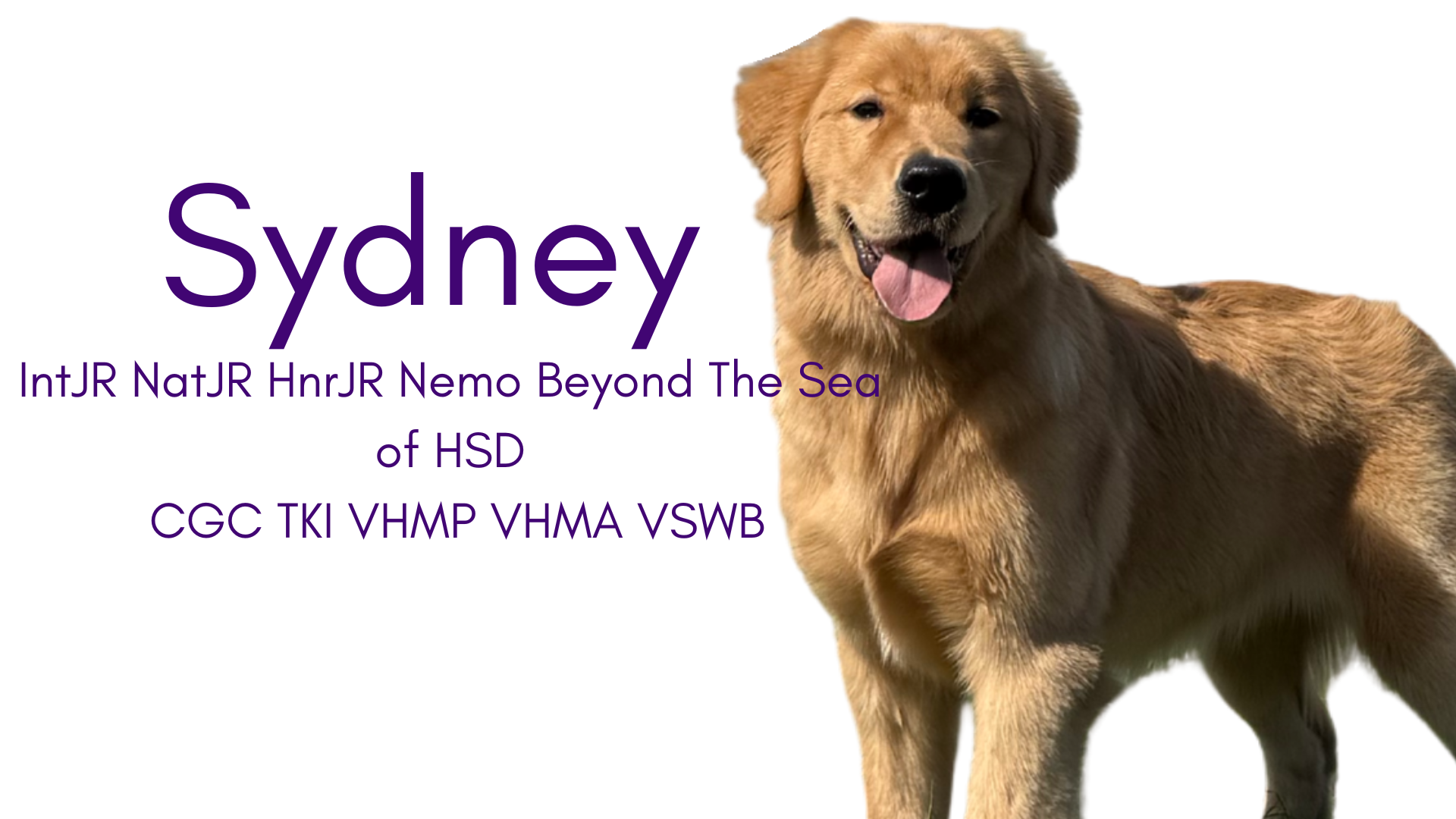 Sydney has earned many titles