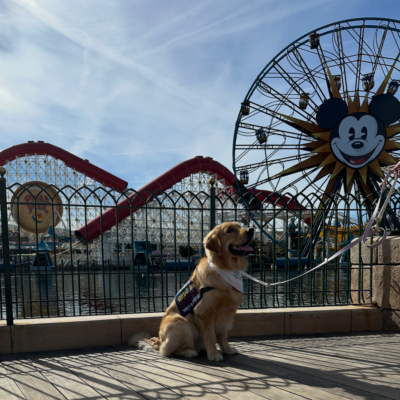Olaf at Disney's California Adventure