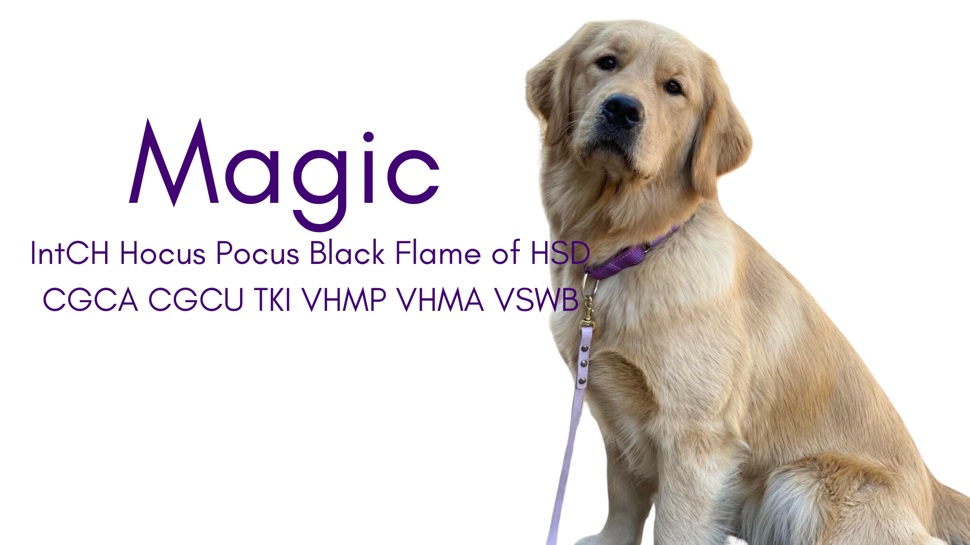 Magic has earned many titles