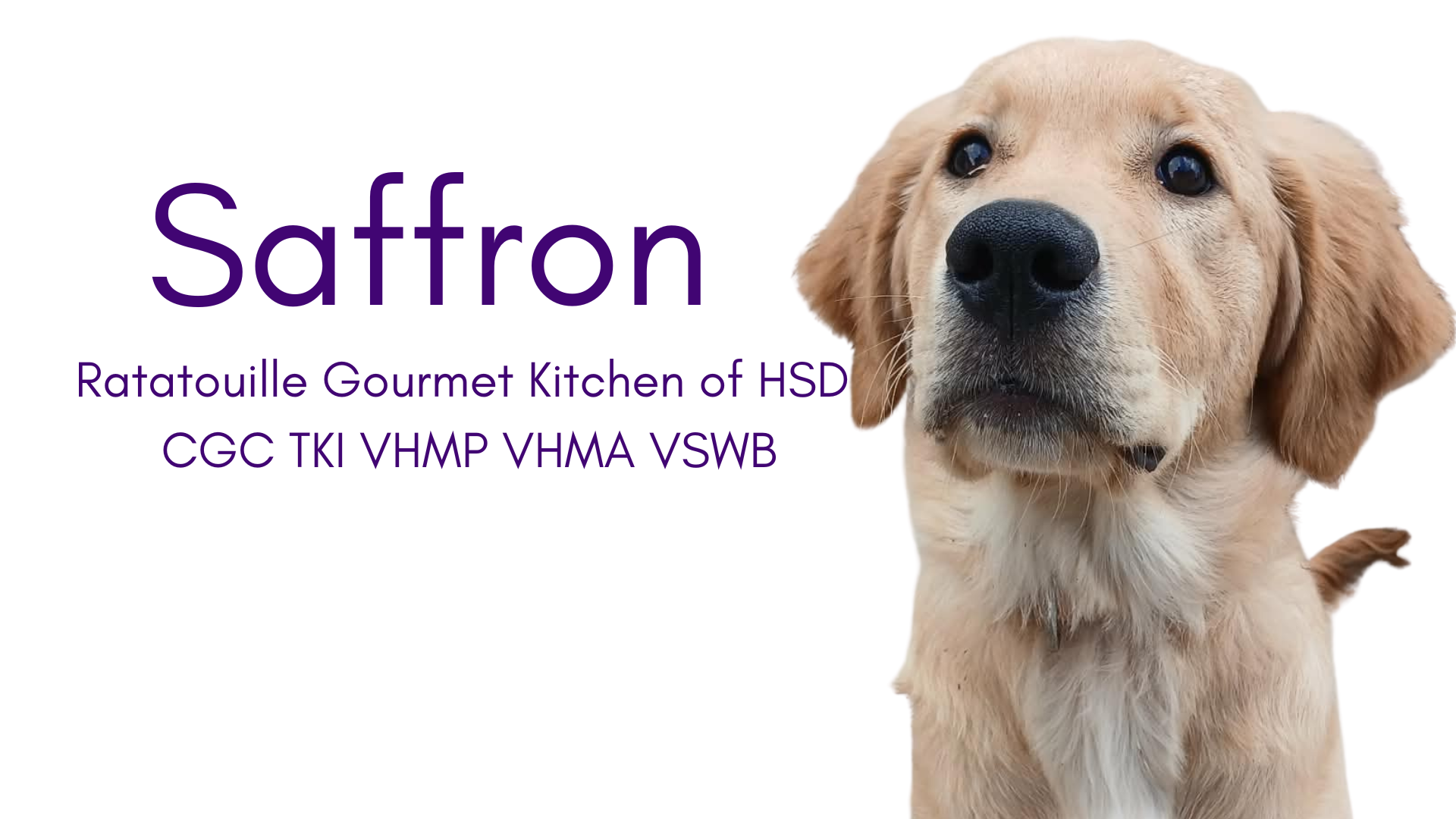 Saffron has earned many titles