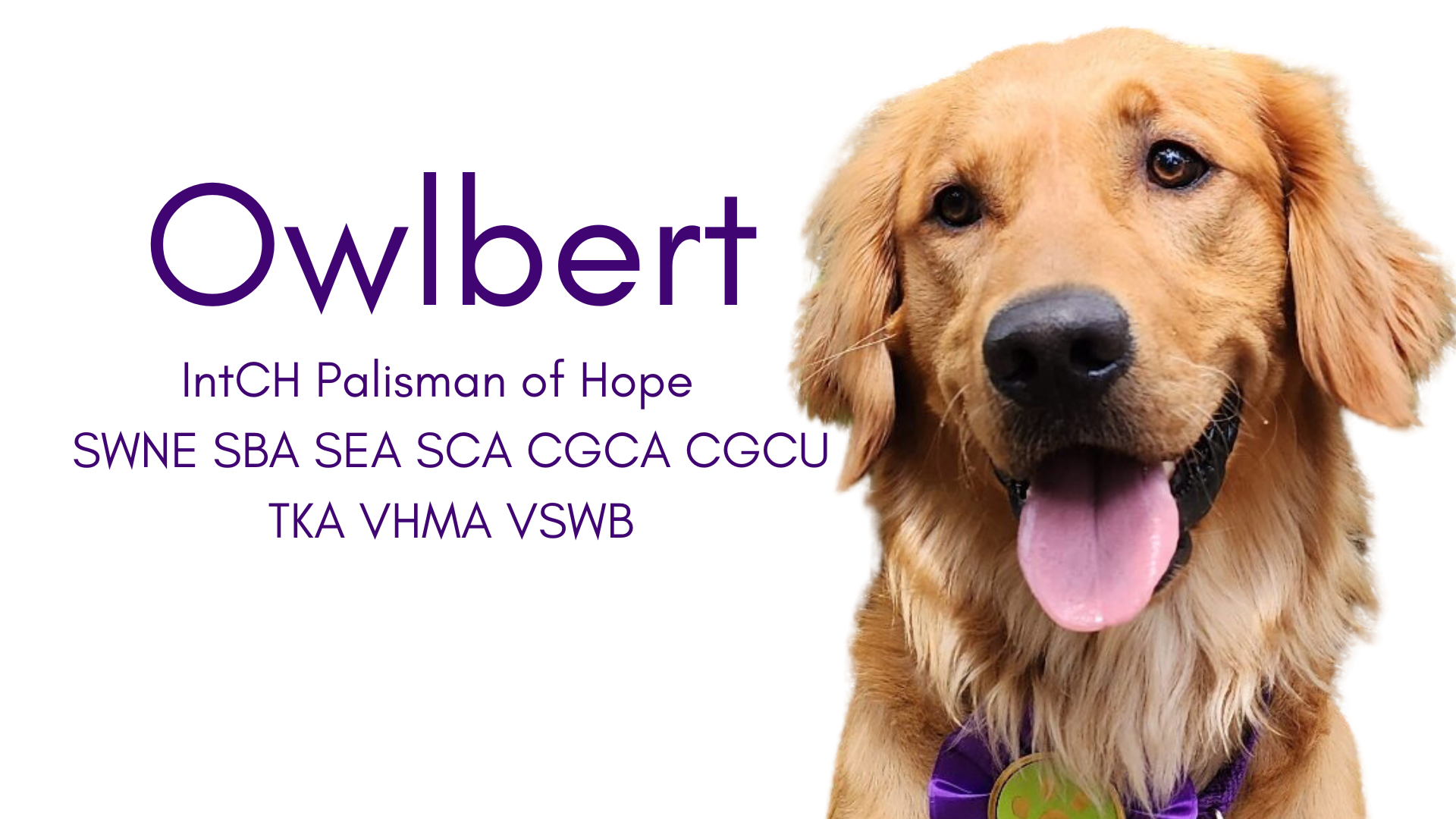 Owlbert has earned many titles