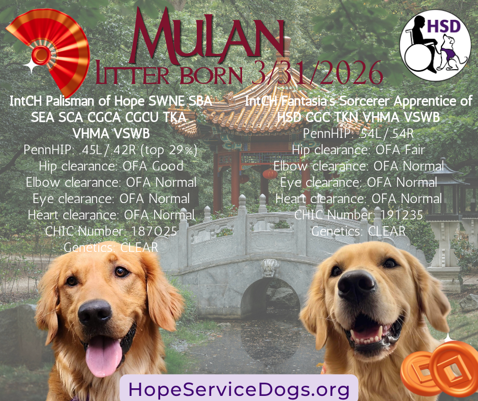 Mulan litter was born 3/31/2026