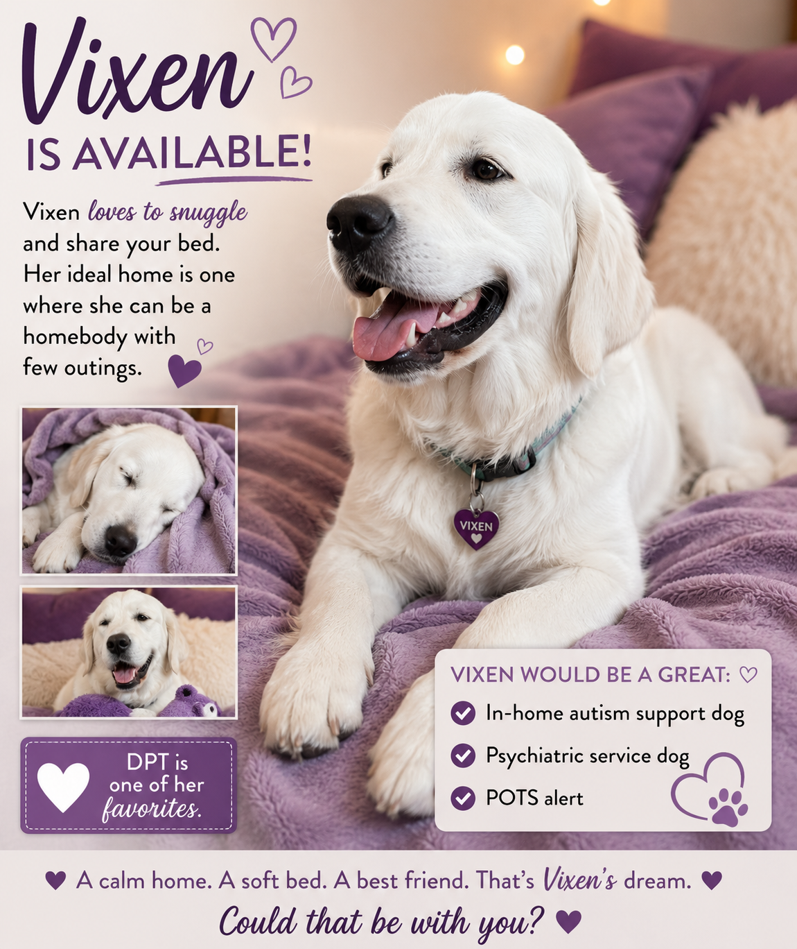 Vixen is available