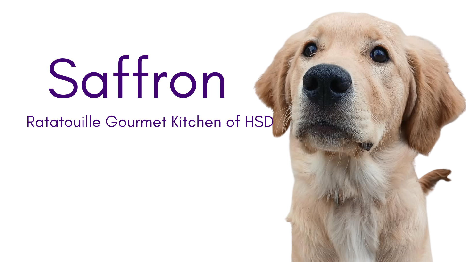 Saffron was born July 26 2025