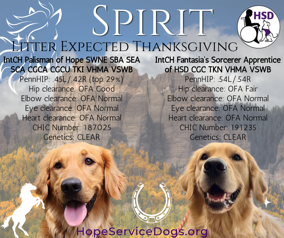 Spirit litter expecting Thanksgiving