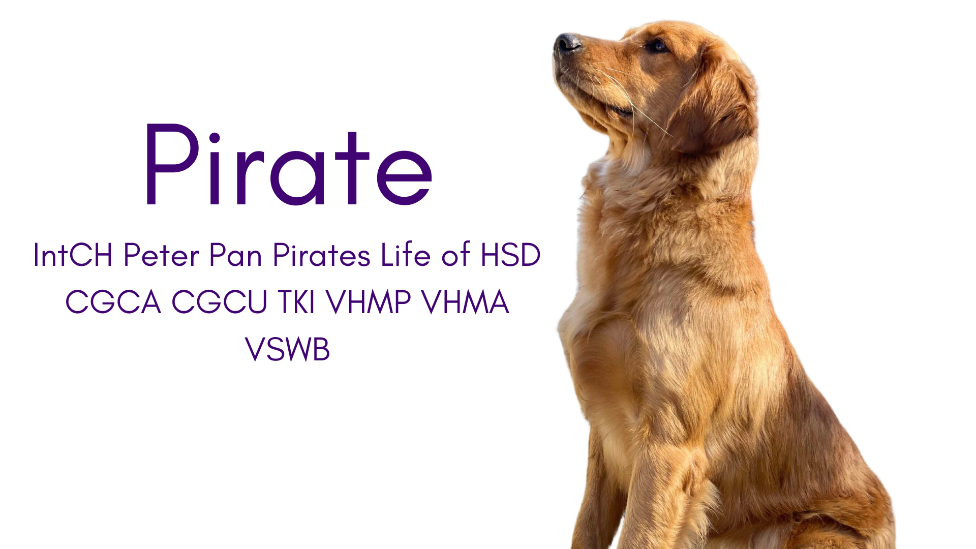 Pirate has earned many titles