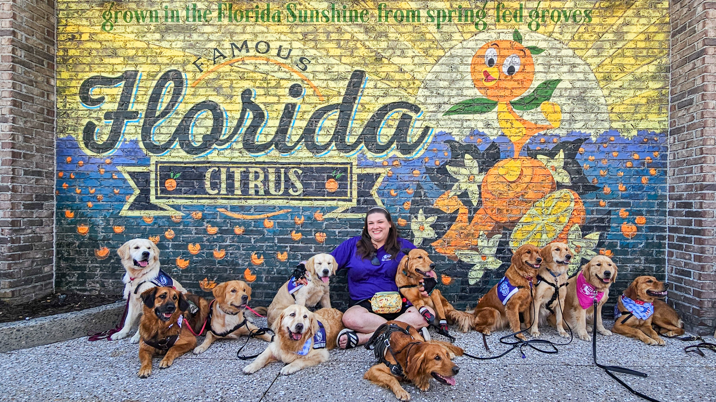 Executive Director and Trainer Victoria Warfel with a bunch of HSD dogs at Disney Springs