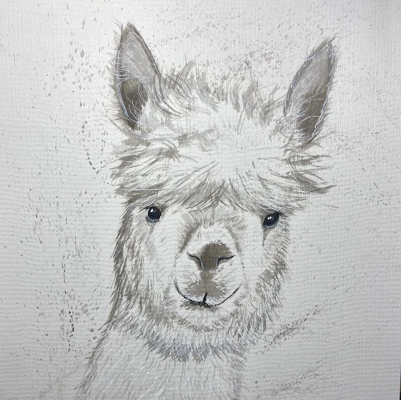 Llama
