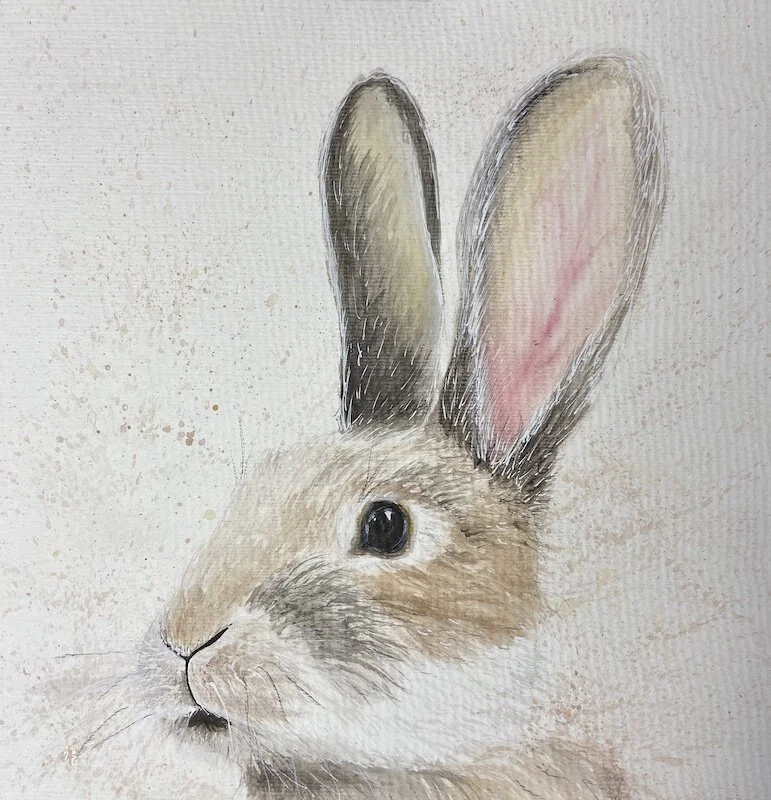Rabbit