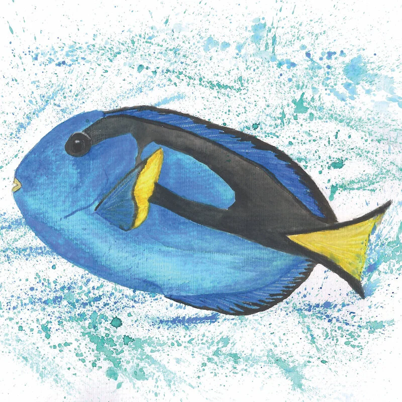 Pacific Blue Fang Original  