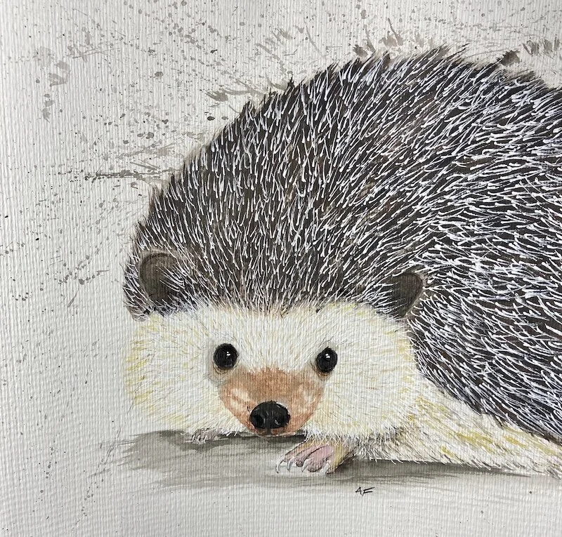 Hedgehog