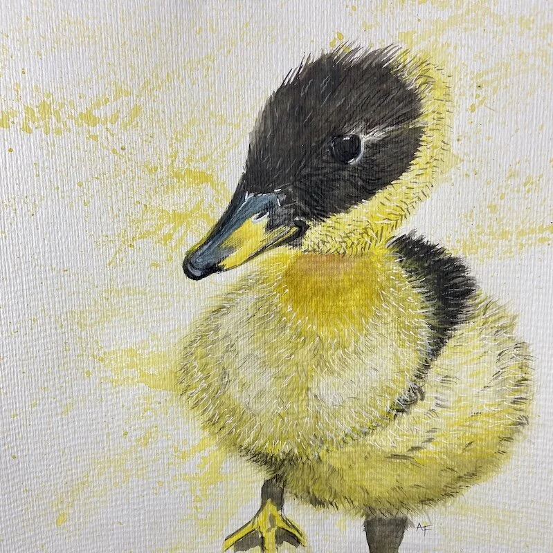 Yellow Duckling