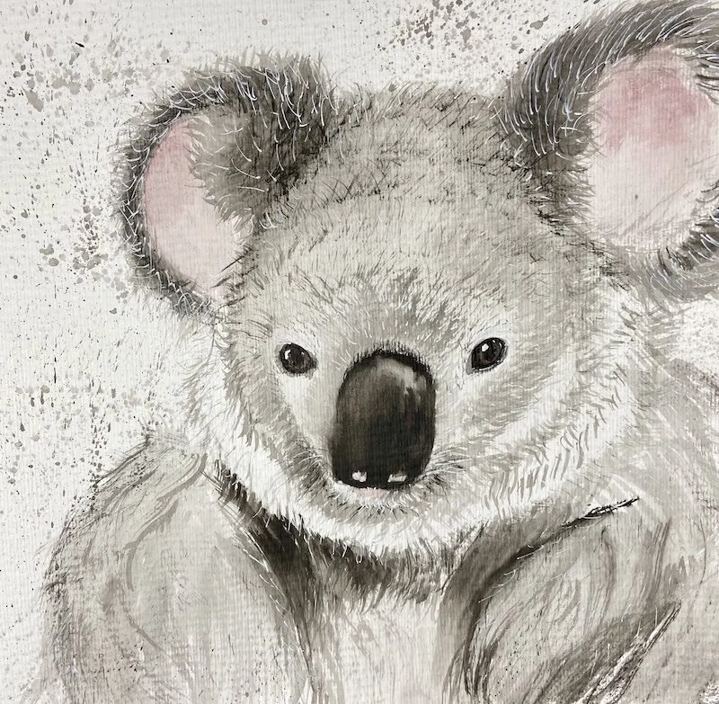 Koala