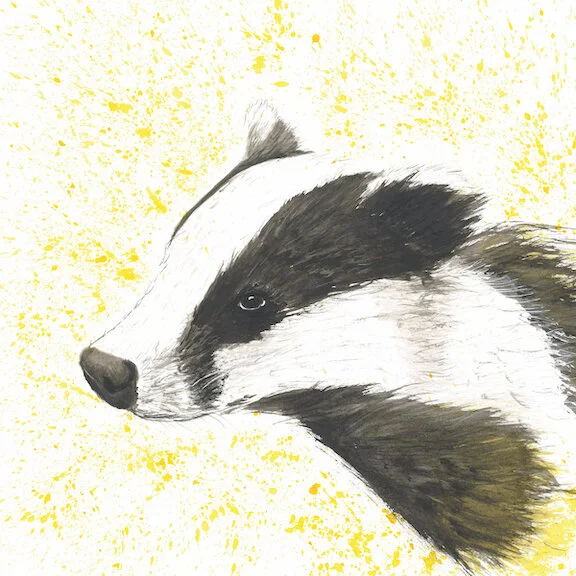 Badger