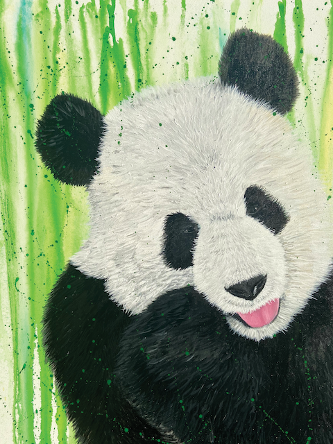 Panda Printed or Canvas Acrylics Austin Fabinski Michigan.png