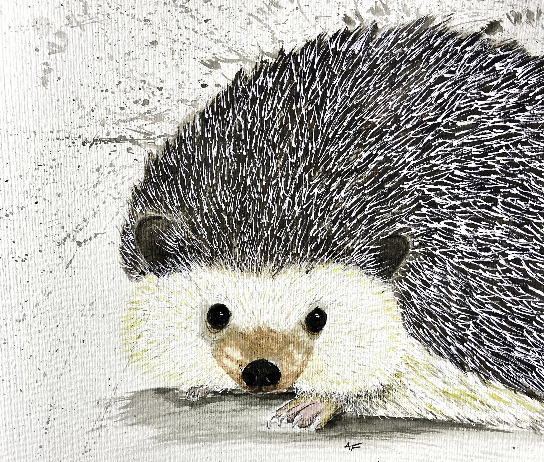 Hedgehog Painting Printed or Canvas Acrylics Austin Fabinski Michigan.jpg