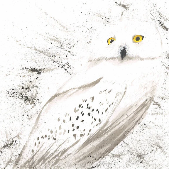 White Owl Painting Printed or Canvas Acrylics Austin Fabinski Michigan.jpg