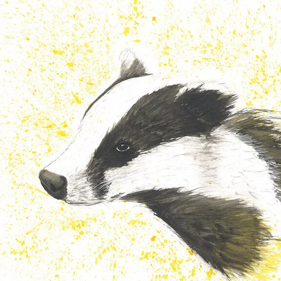 Badger Painting Printed or Canvas Acrylics Austin Fabinski Michigan.jpg