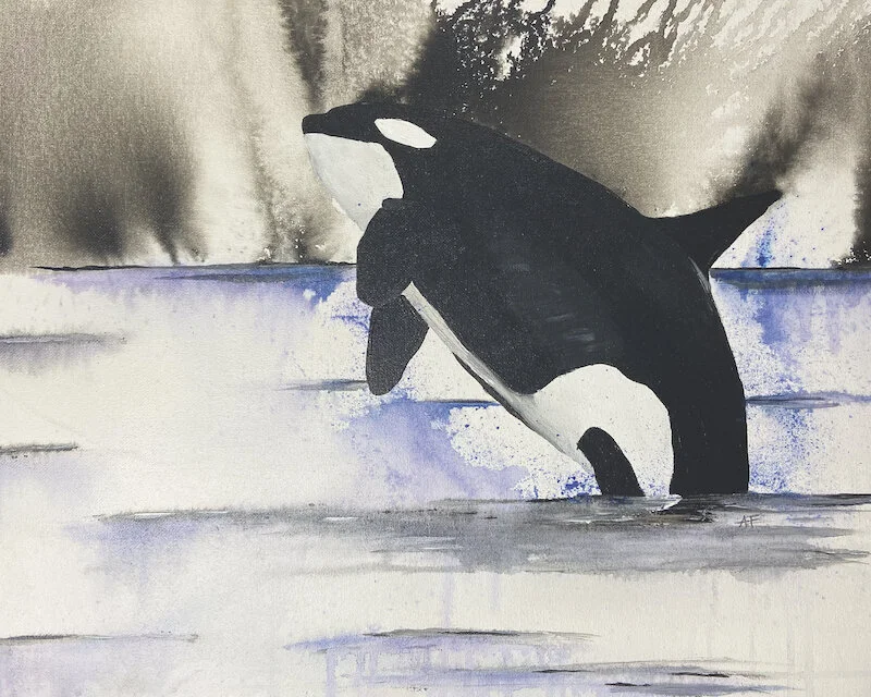 Killer Whale Printed or Canvas Acrylics Austin Fabinski Michigan.jpg