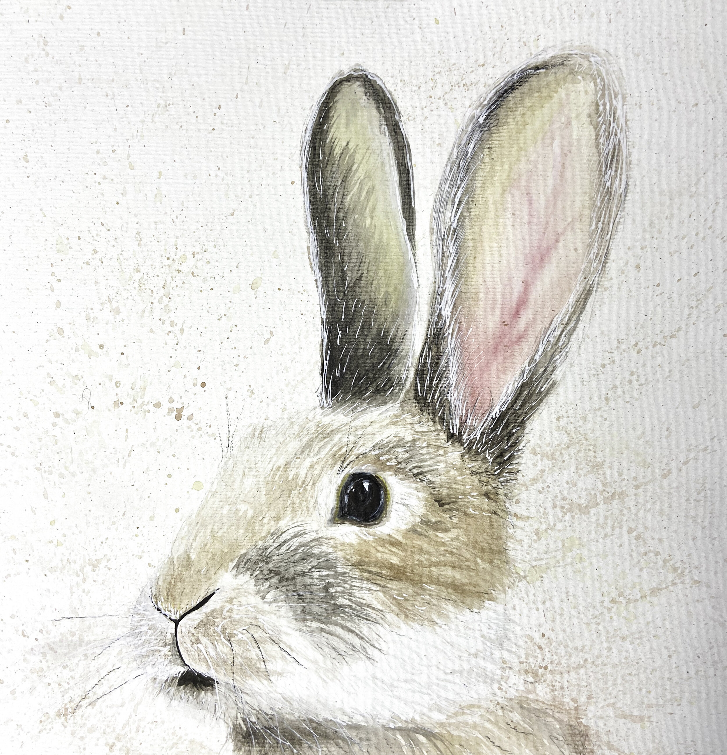 Rabbit Painting Printed or Canvas Acrylics Austin Fabinski Michigan.jpg