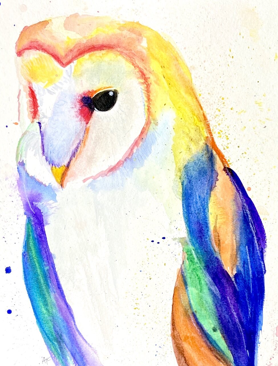 Rainbow Owl