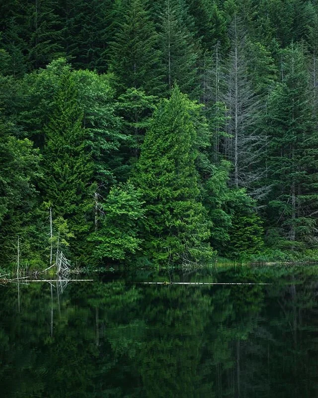 Time to Reflect ⏳
&bull;
&bull;
&bull; &bull;
#landforsale #vacantland #parcel #landinvestment #landgeek #land #cheapland #propertyforsale #hunting #deerhunter #rvcamping #rv #camping #outdoors #Landchex

#buyingland #sellingland #asset #rawland #rea