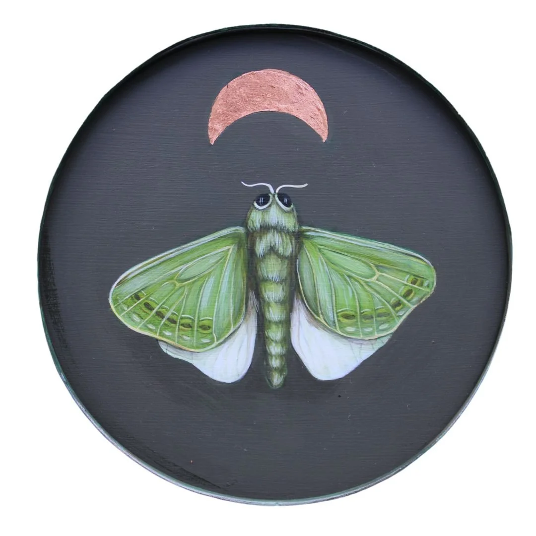 Moth3_website.jpg