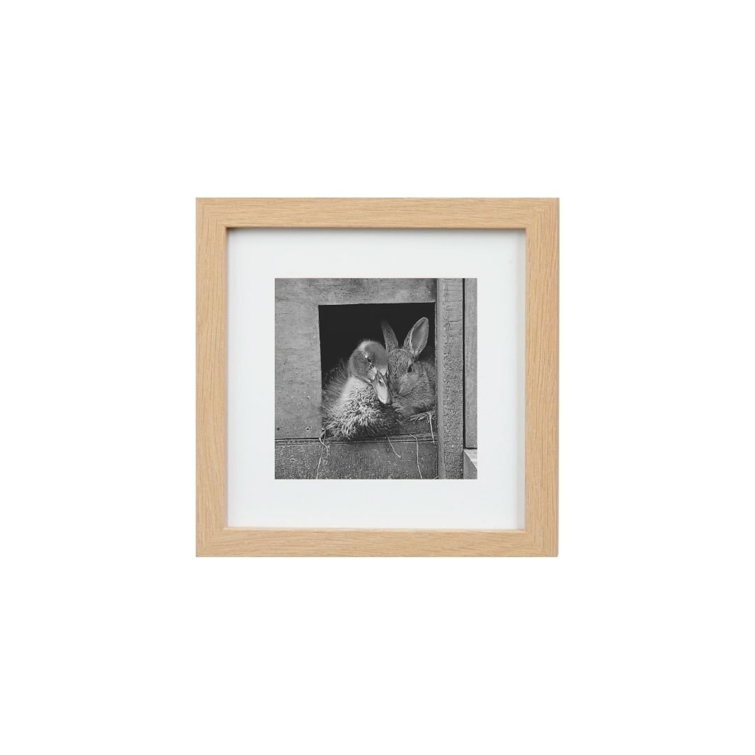 Duck and RabbitNeutral small.jpg