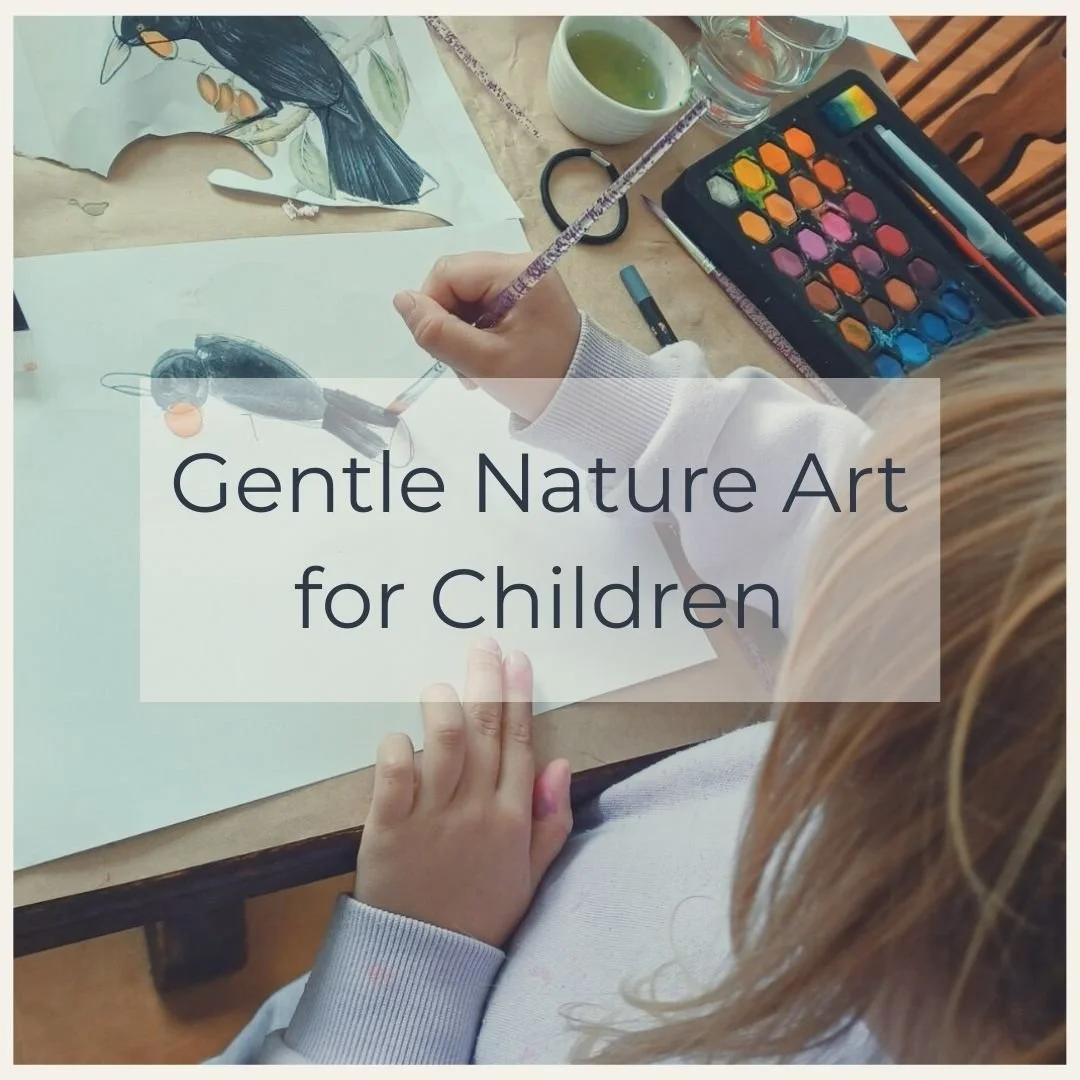 Forest Collection 4.jpg