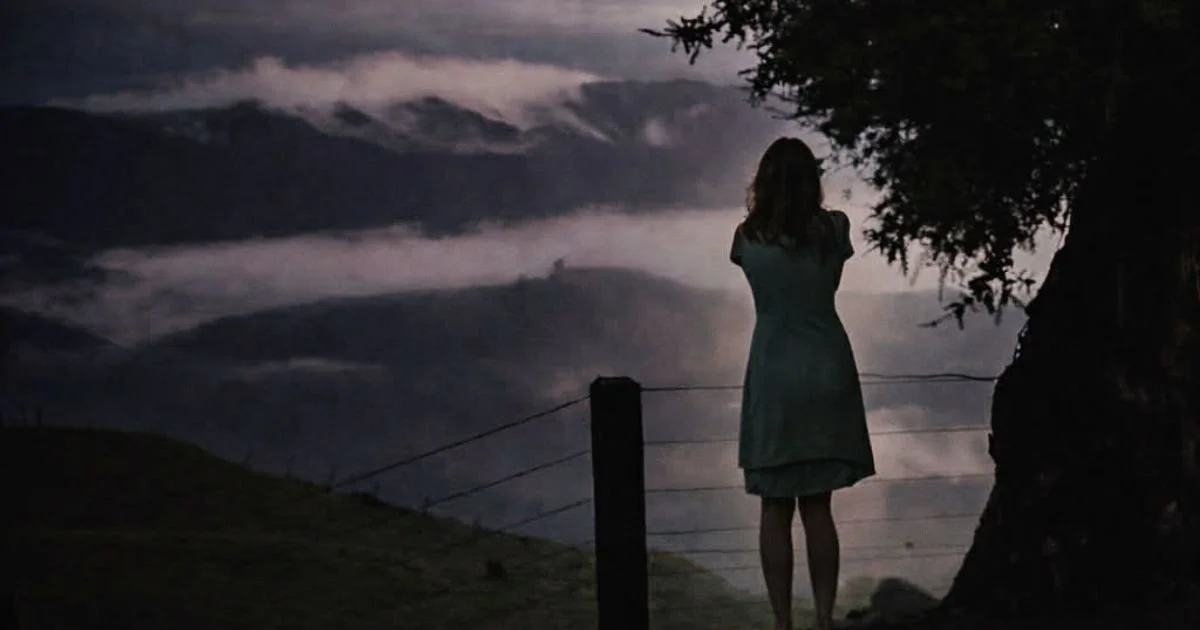 Substack Home Page Cover.jpg