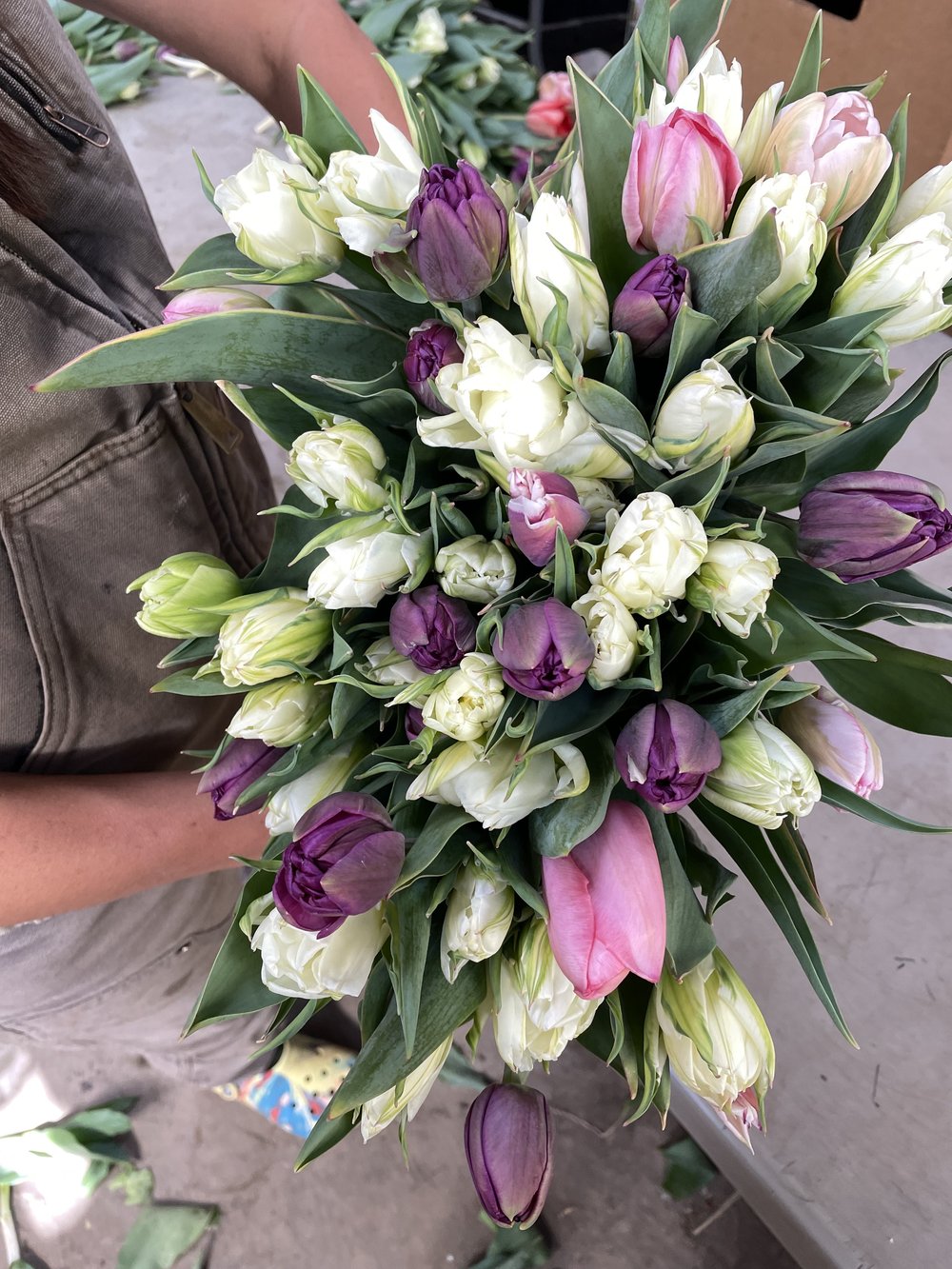 Shop — Ellen's Flowers