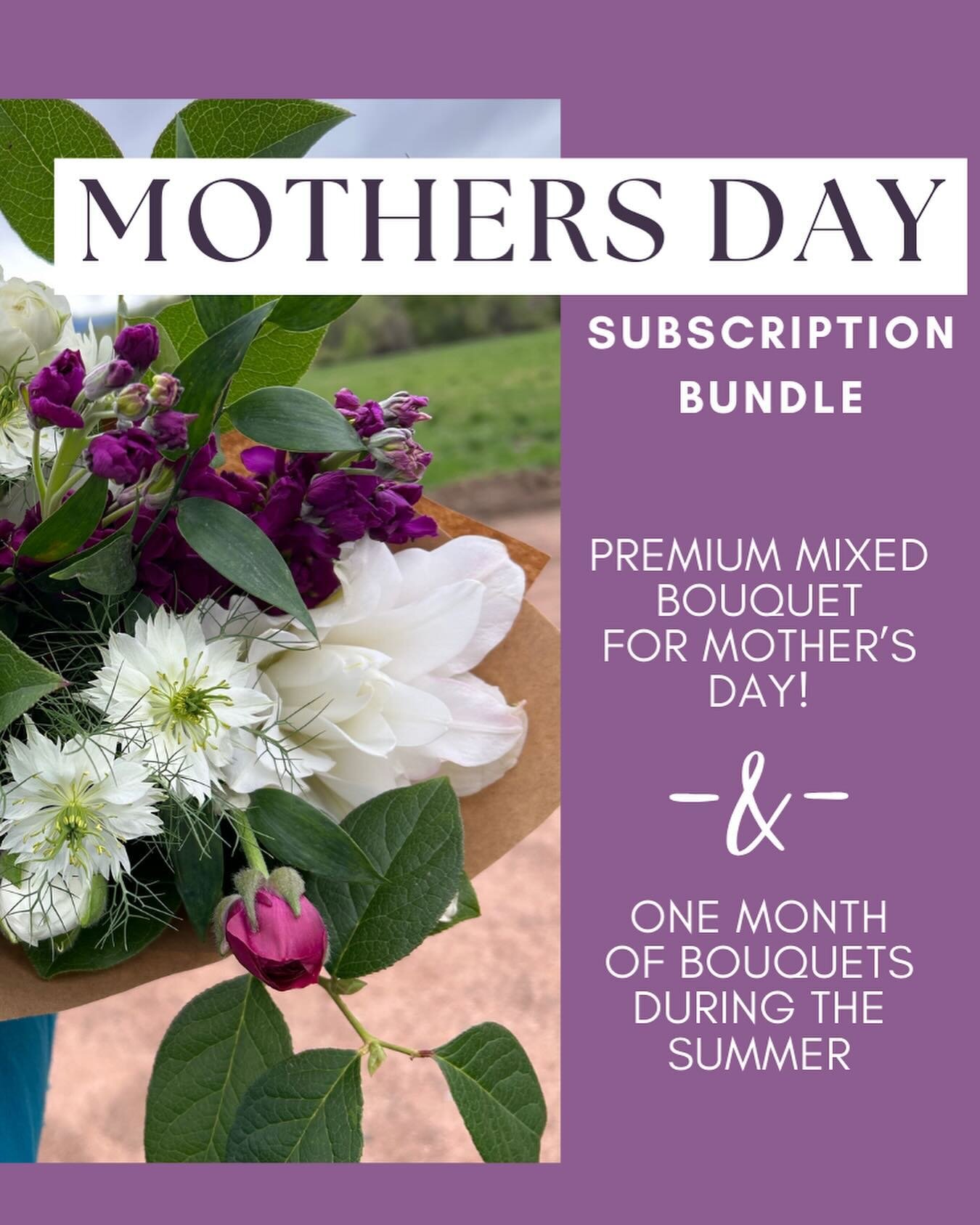 Mother&rsquo;s Day is just around the corner, and as one of the biggest flower holidays of the year, we figured we better jump on board 🤣! Most of the flowers sold during this holiday are flown in from overseas(hello huge carbon footprint 🫠) and do