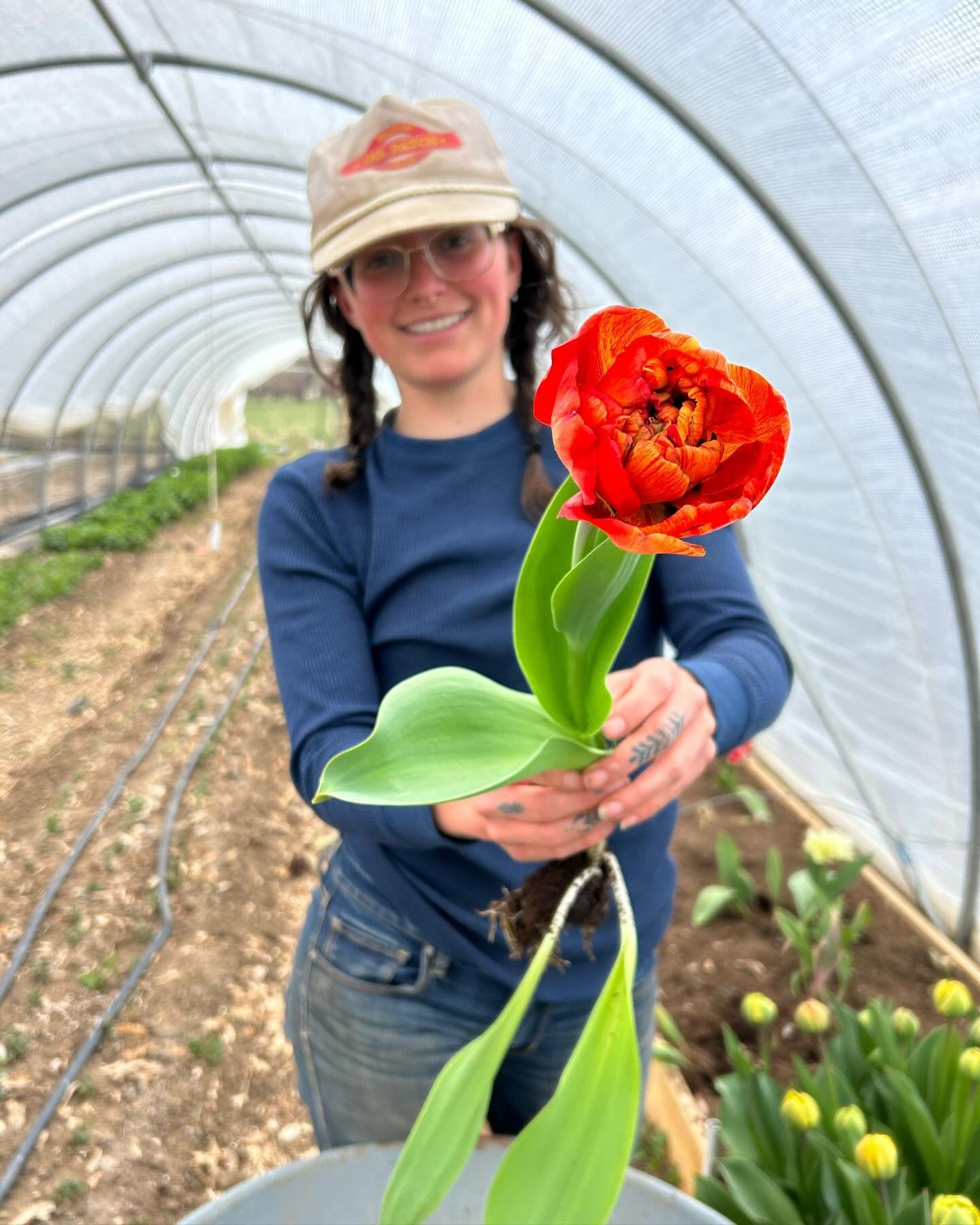 Come get in on the tulip fever this weekend at the spring @backyardmarketinbf from 10-3pm at Edith Wolford Elementary. This might be the only time we will have tulips available to buy outside of our subscription this spring, so come load up! 

We lov
