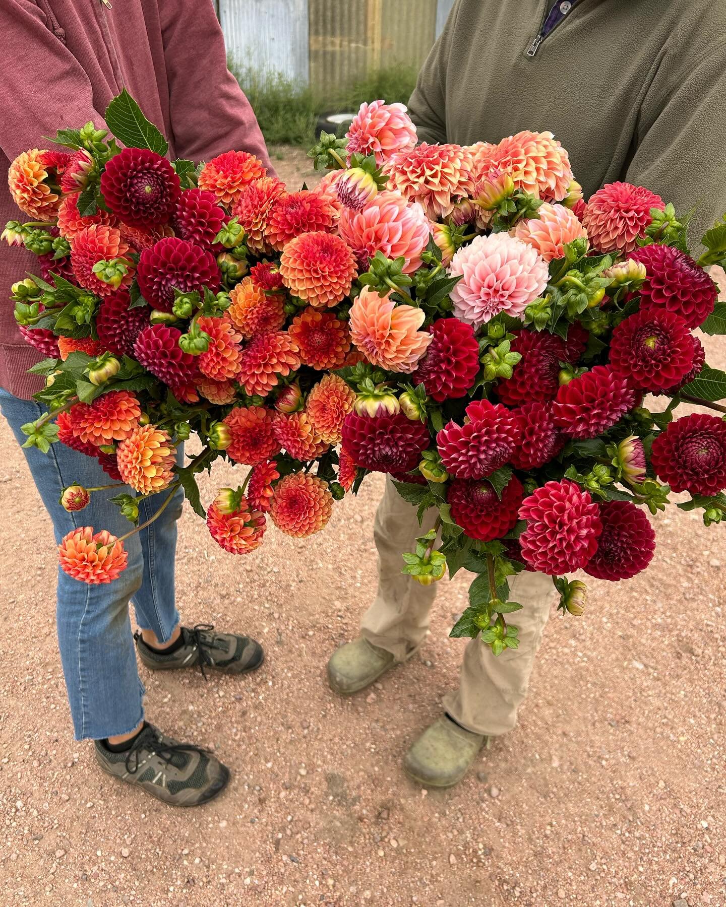 This Saturday October 12th is our last farmers market of the year!! We have been lucky to have a long fall so we are still picking lots of flowers for you to enjoy! We&rsquo;ll have so many beautiful options to choose from bountiful mixed bouquets to
