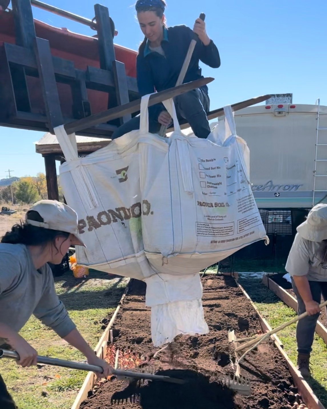 Every year we plant tulips right around my birthday. It also happens to be one of the last big projects we work on all together as a crew - its my favorite fall task. Many of our employees join us in the spring during the tulip harvest. I love that o