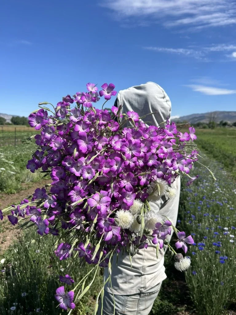 ethically grown and long lasting flowers from Ellens Flowers in Canon City, CO