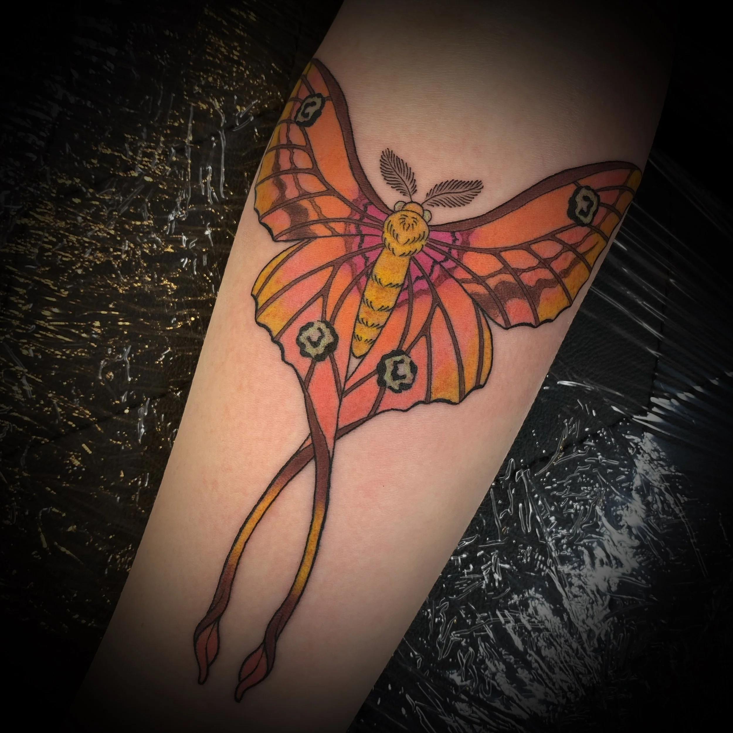 @_KIKUTATTOO_ -  NSW