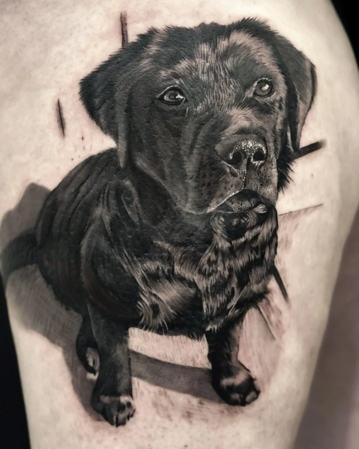 @COLOMBOMATTIA82 - NSW