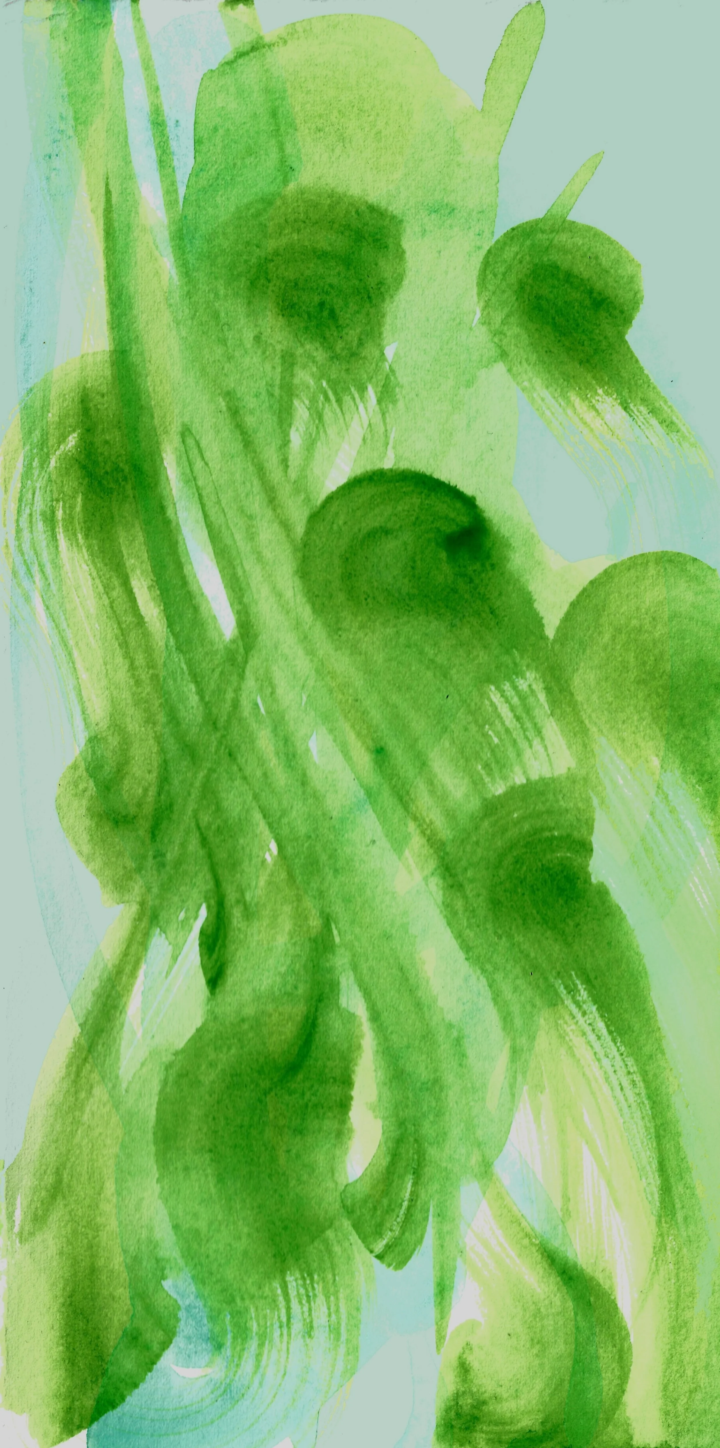 peacocksketch copy 2greenandblue.jpg