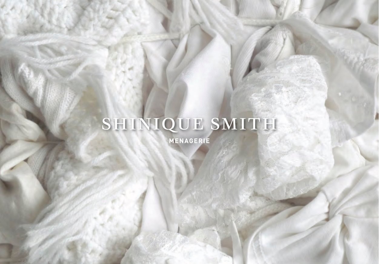 Shinique Smith: Menagerie Catalogue