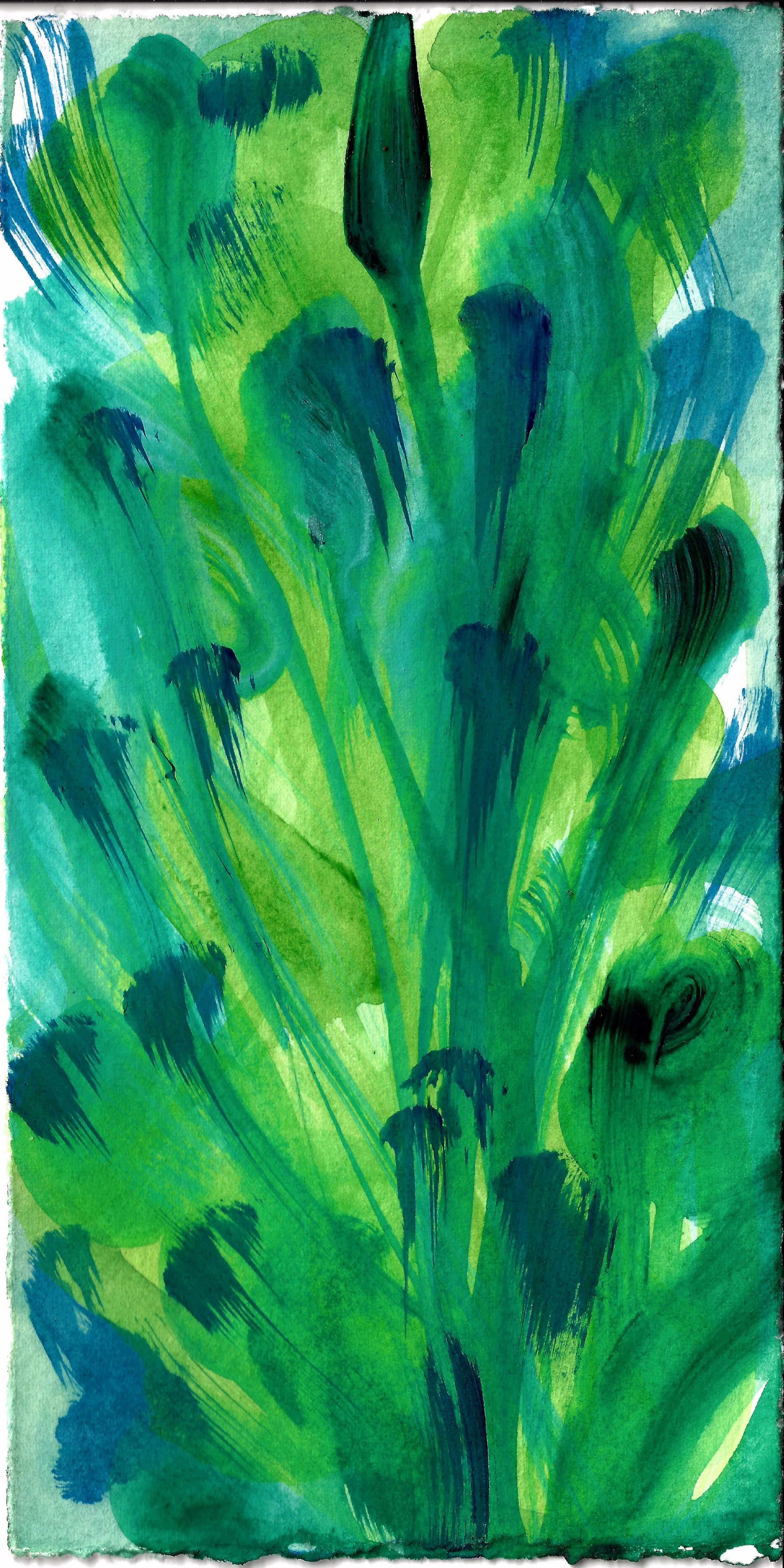 ss_peacockplant_2026.jpg