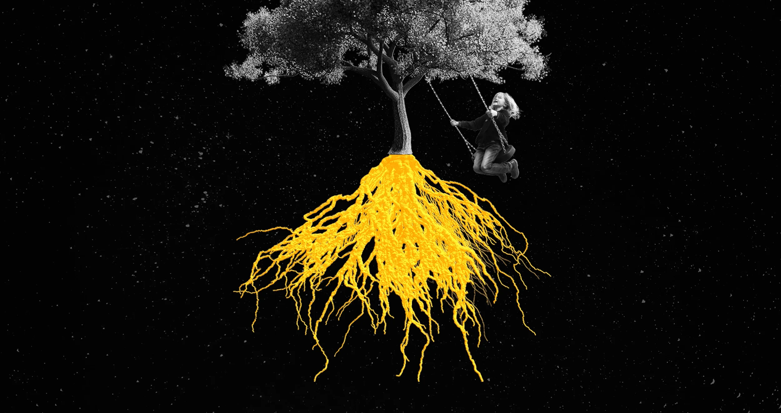 Roots.webp