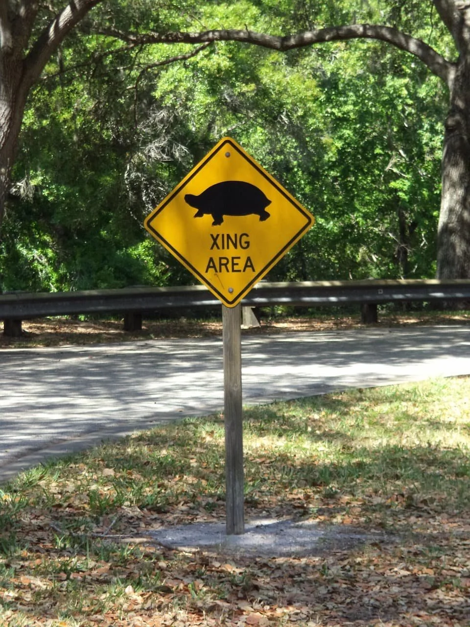 Turtle crossing sign (Copy)