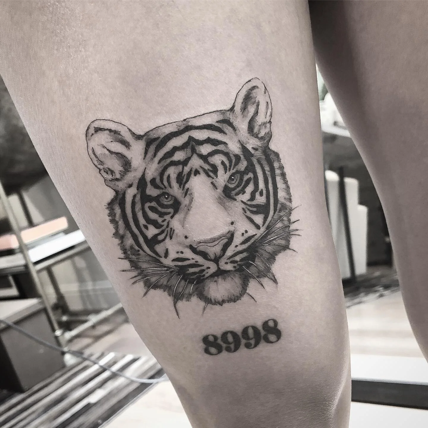 Fun little tiger!