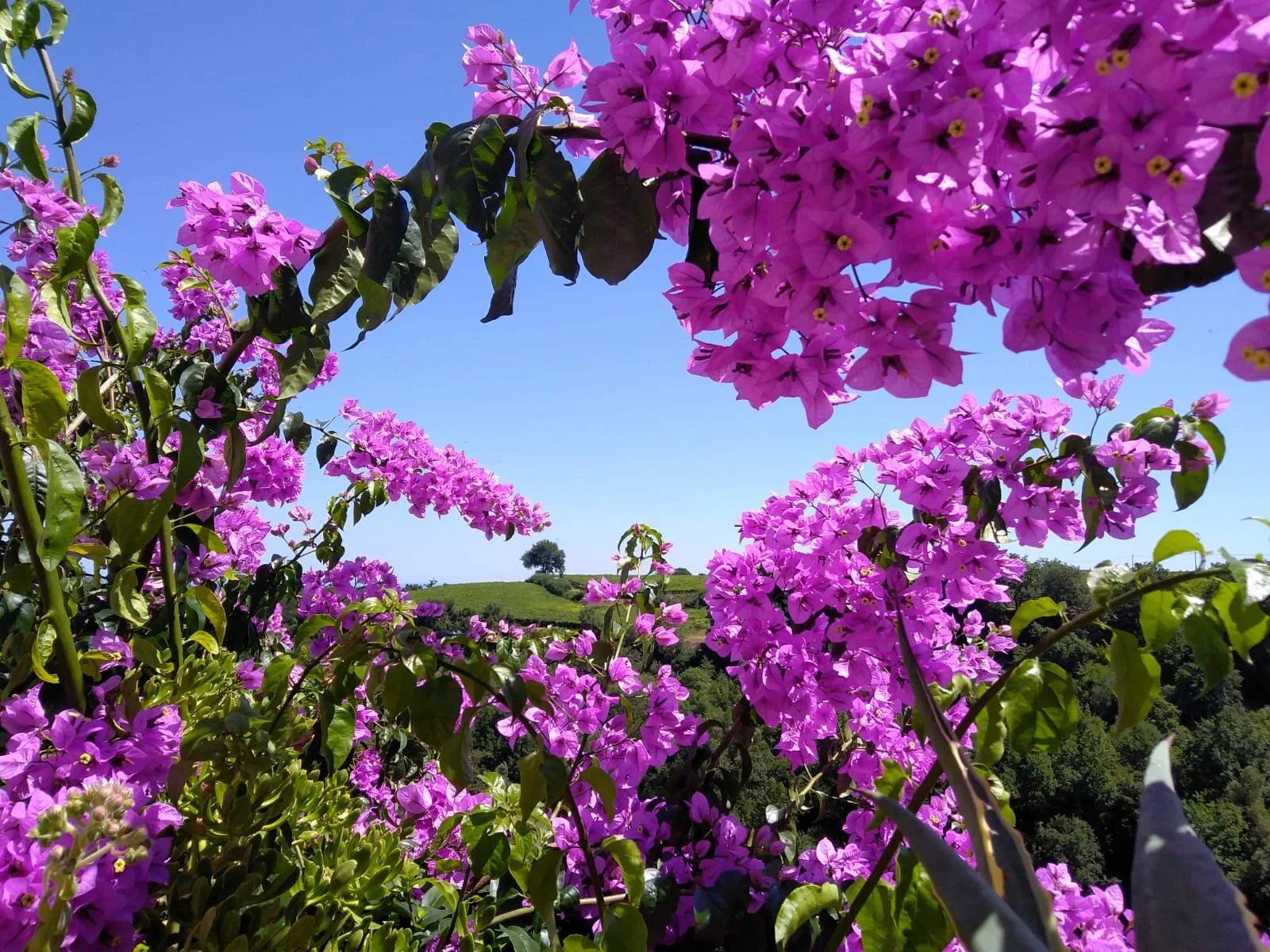 A place where tranquility meets generosity