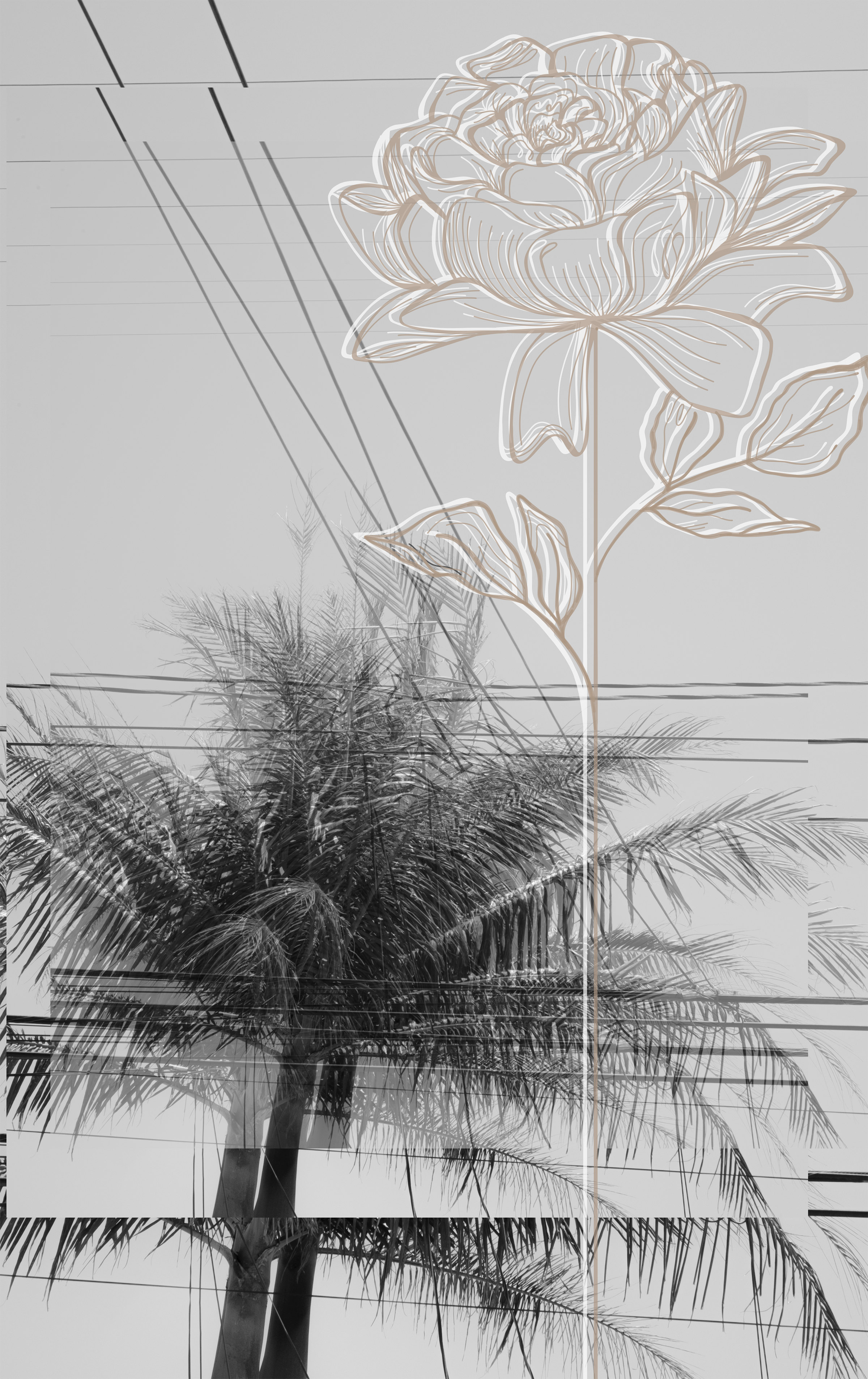 Palms and peonies3.png