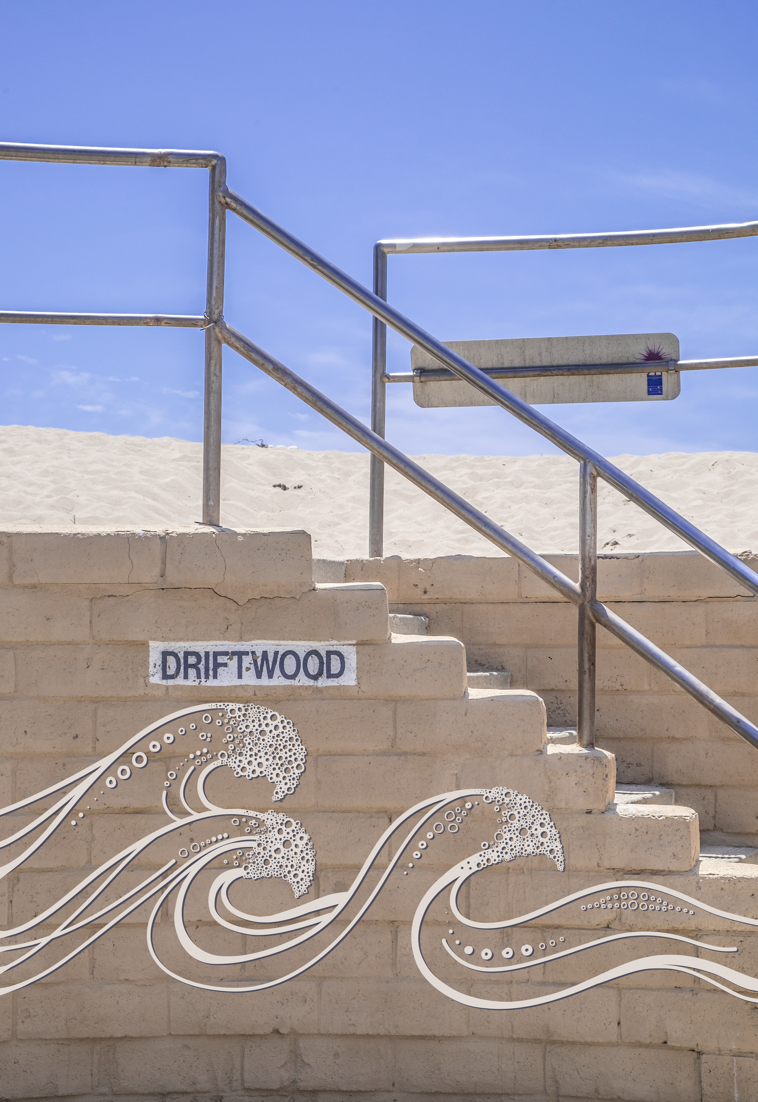 Driftwoodbeach2.png
