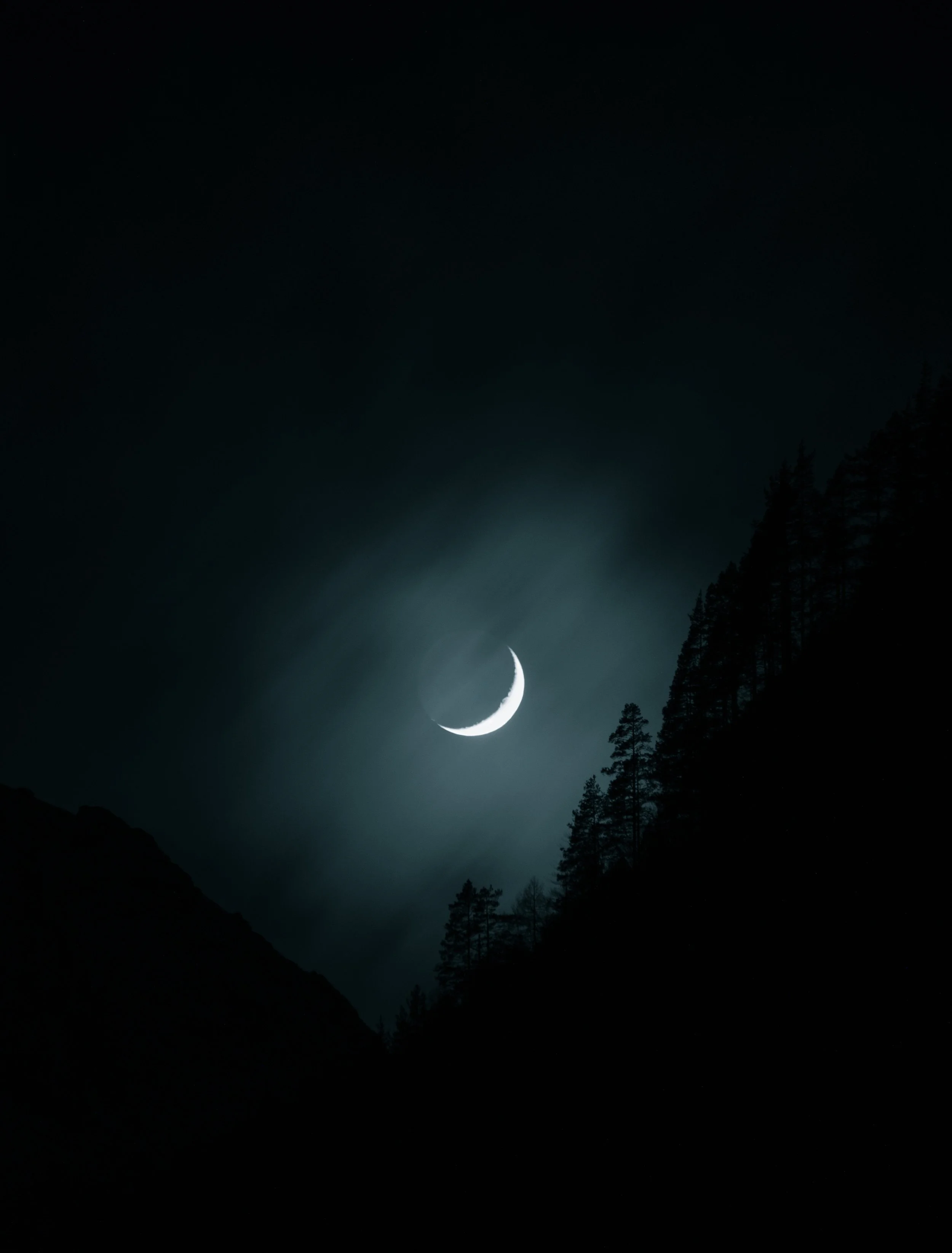 Crescent  by Ruiting Zhao